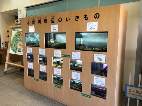 アクアトトぎふ 自然発見館-3