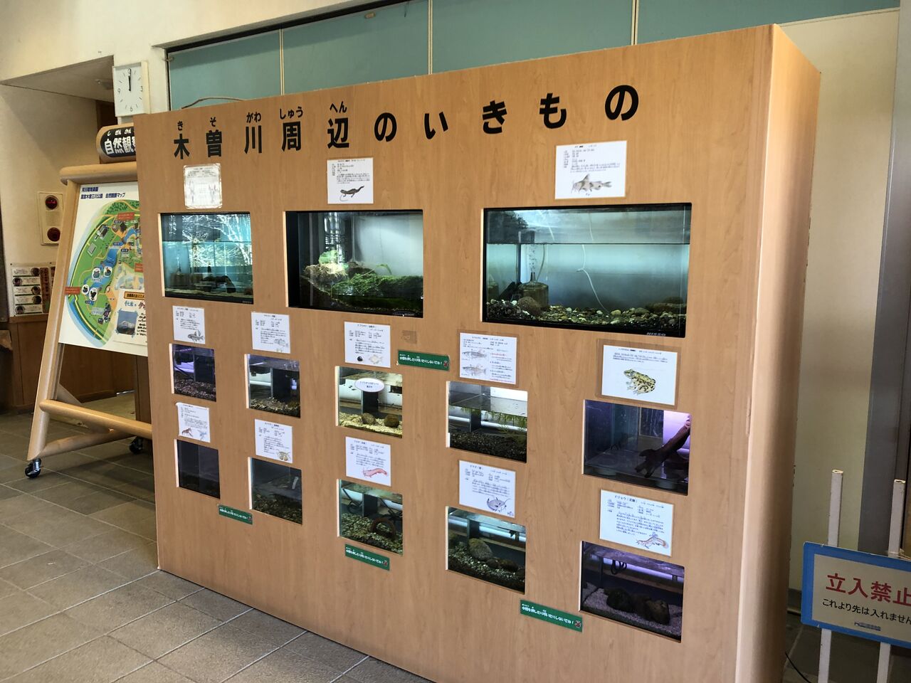 岐阜県 河川環境楽園 自然発見館 主食は水族館です