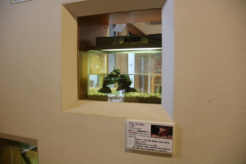 四万十川学遊館 あきついお-3