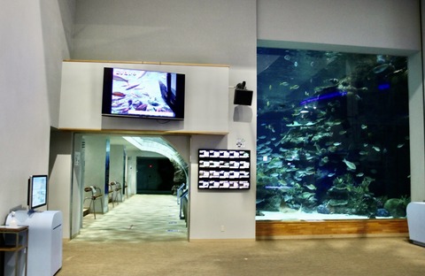 名古屋港 ナイトアクアリウム2021-36