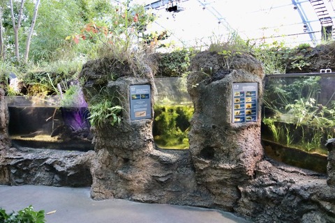 アクアマリンふくしま2020-5