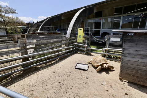 ひみラボ水族館-22