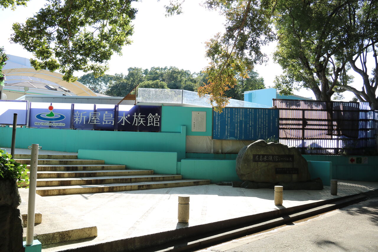 香川県 新屋島水族館 主食は水族館です