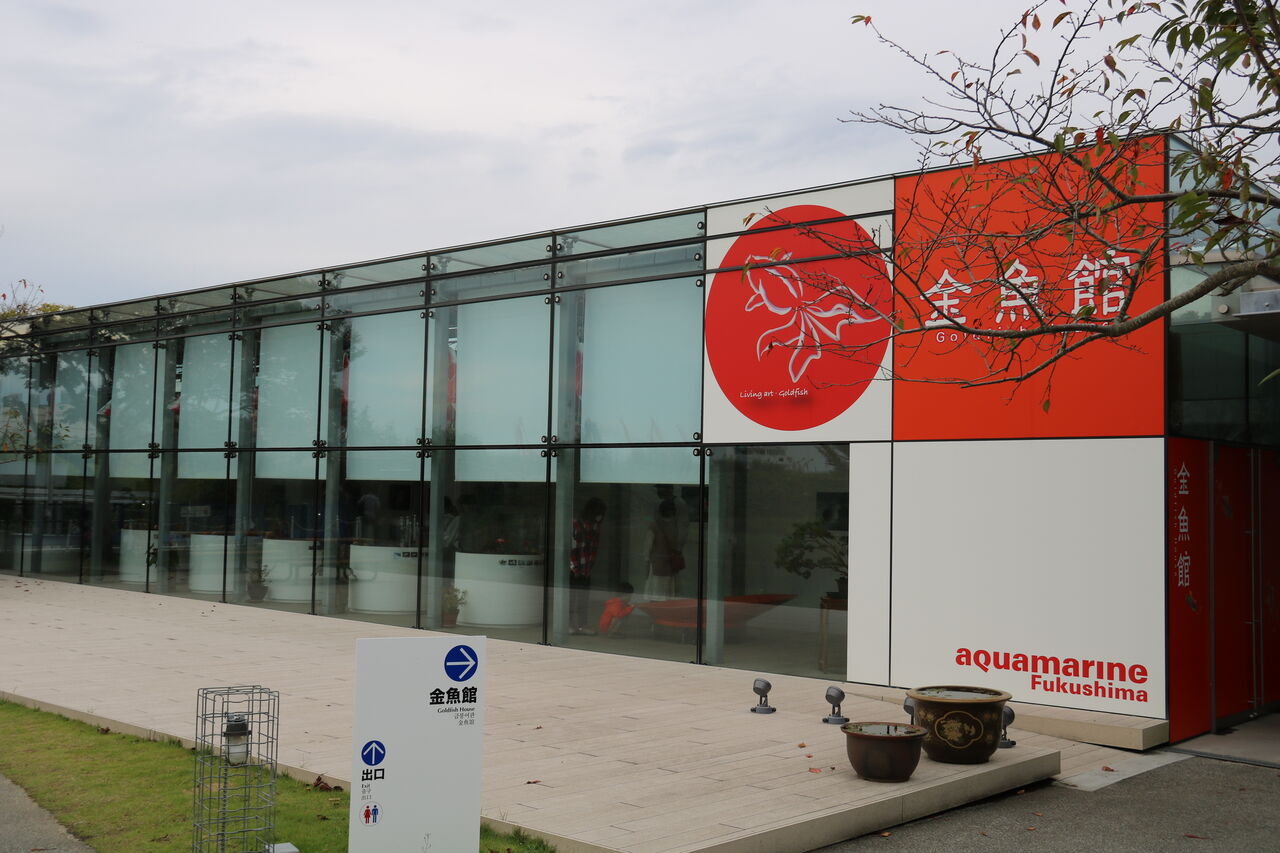 福島県 アクアマリンふくしま 金魚館 主食は水族館です
