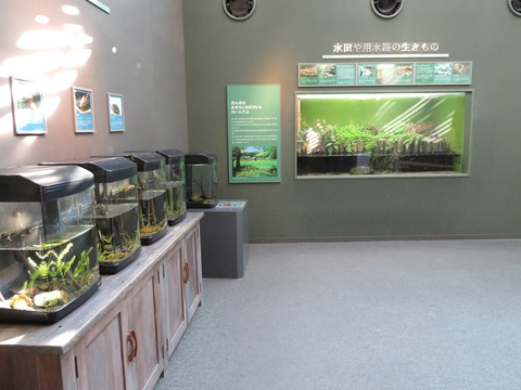 アクアトトぎふ-11