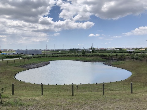 油ヶ淵水辺公園-4