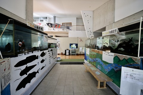 ひみラボ水族館-6