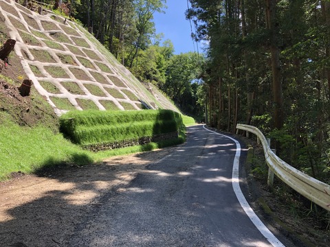 自然児童遊園 ねむの森-17