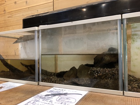 中池見 人と自然のふれあいの里-11