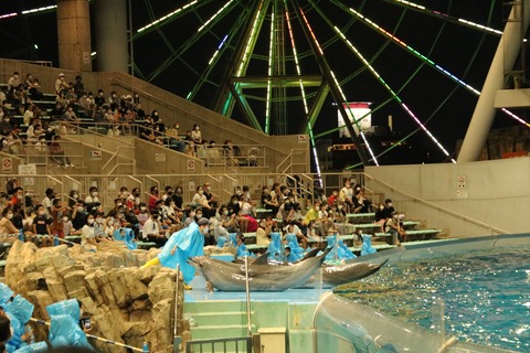 名古屋港 ナイトアクアリウム2021-5