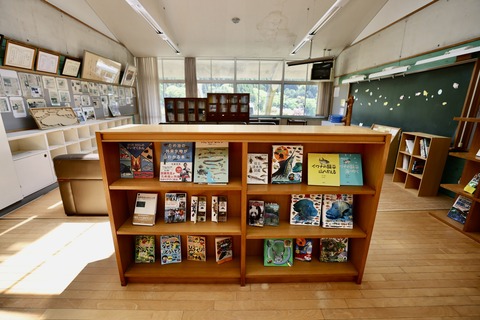ひみラボ水族館-11