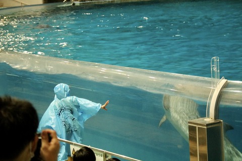 名古屋港 ナイトアクアリウム2021-6