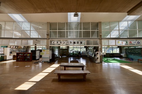 ひみラボ水族館-10