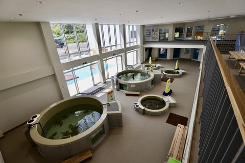 富山県栽培漁業センター-15