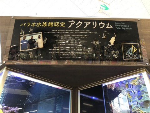 稲沢ドンキ水槽-12