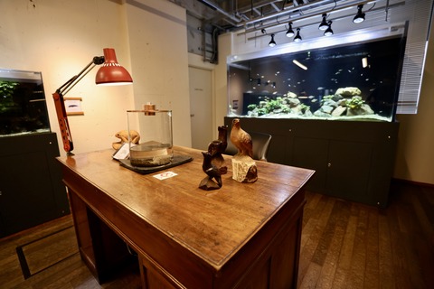 みなとやま水族館-16