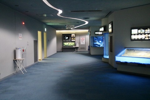 名古屋港 ナイトアクアリウム2021-34