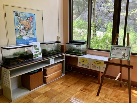 みなくち子どもの森 自然館-2