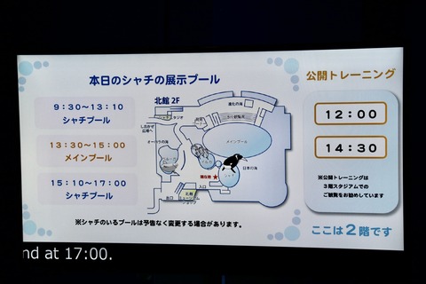 名古屋港 シャチのアース公開トレーニング-2