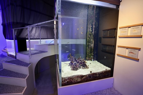 みなとやま水族館-22