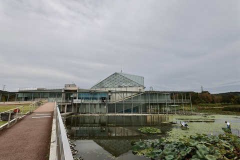 なかがわ水遊園-1