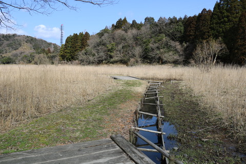 中池見 人と自然のふれあいの里-29