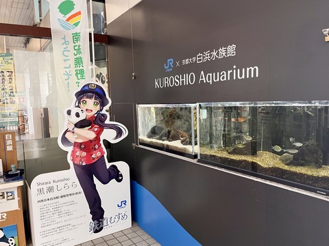 白浜駅の水槽-4