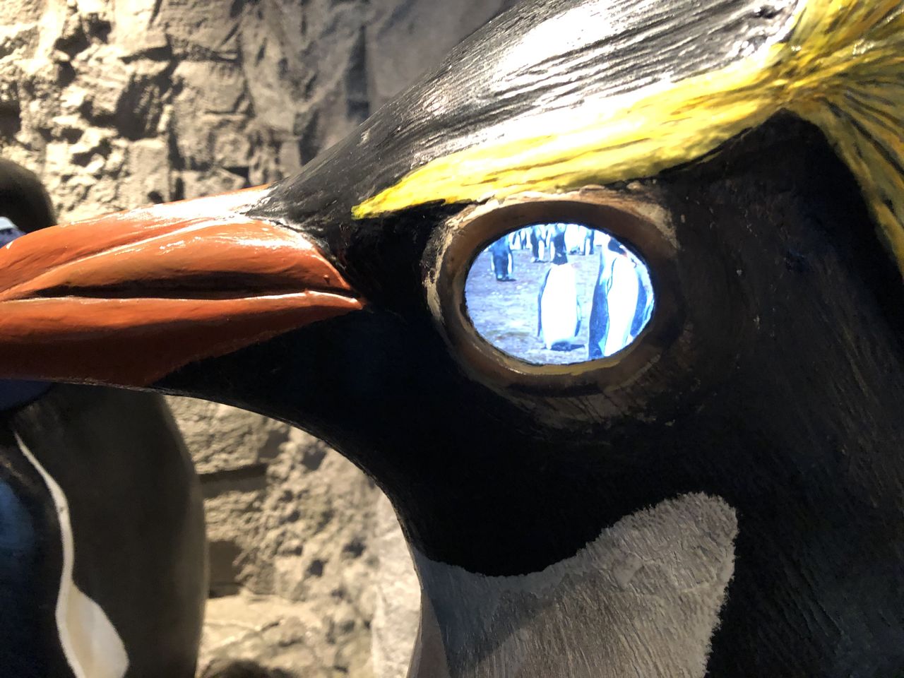 30dayaquariumchallenge にチャレンジ 主食は水族館です 30dayaquariumchallenge にチャレンジ 主食は水族館です