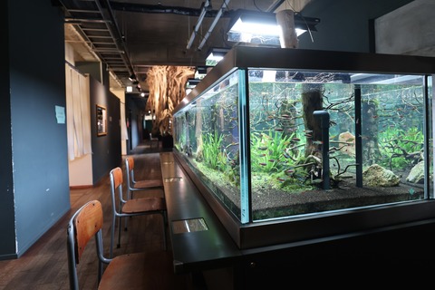 みなとやま水族館-26