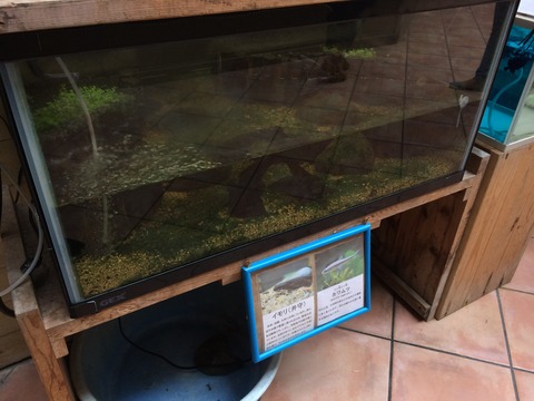 道の駅 紀宝町ウミガメ公園2-2