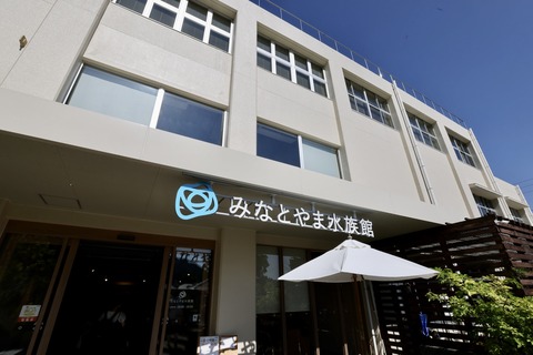 みなとやま水族館-2