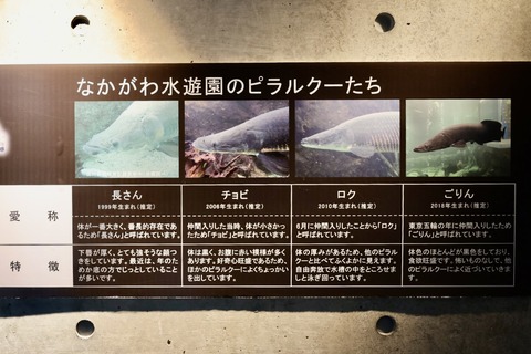 なかがわ水遊園-26