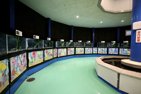 山方自然生態観察施設淡水魚館-8