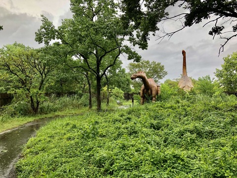 大高緑地 ディノアドベンチャー名古屋-20