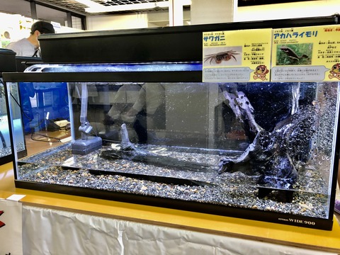 たじみの自然展2021-11