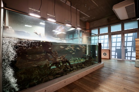 みなとやま水族館-9