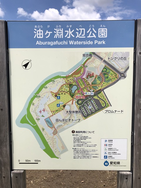 油ヶ淵水辺公園-1