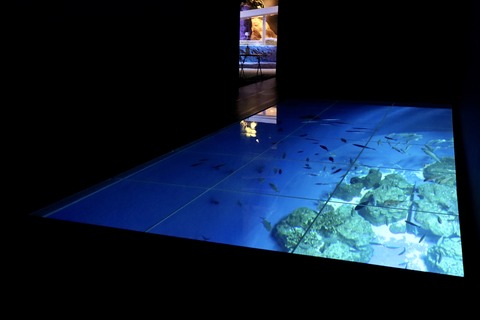 DMMかりゆし水族館-28