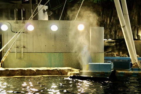 名古屋港 ナイトアクアリウム2021-28