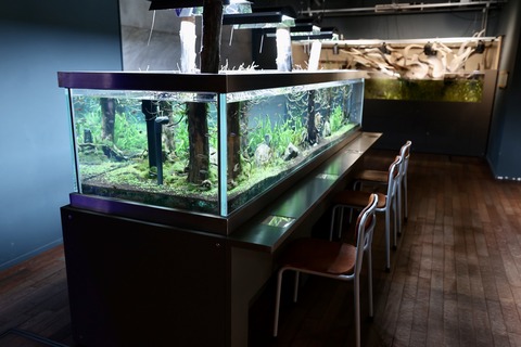 みなとやま水族館-5