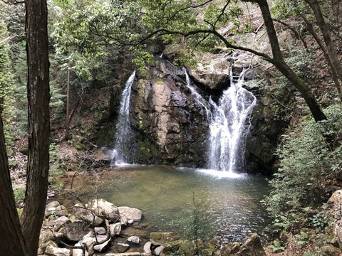 瑞浪市自然ふれあい館-28