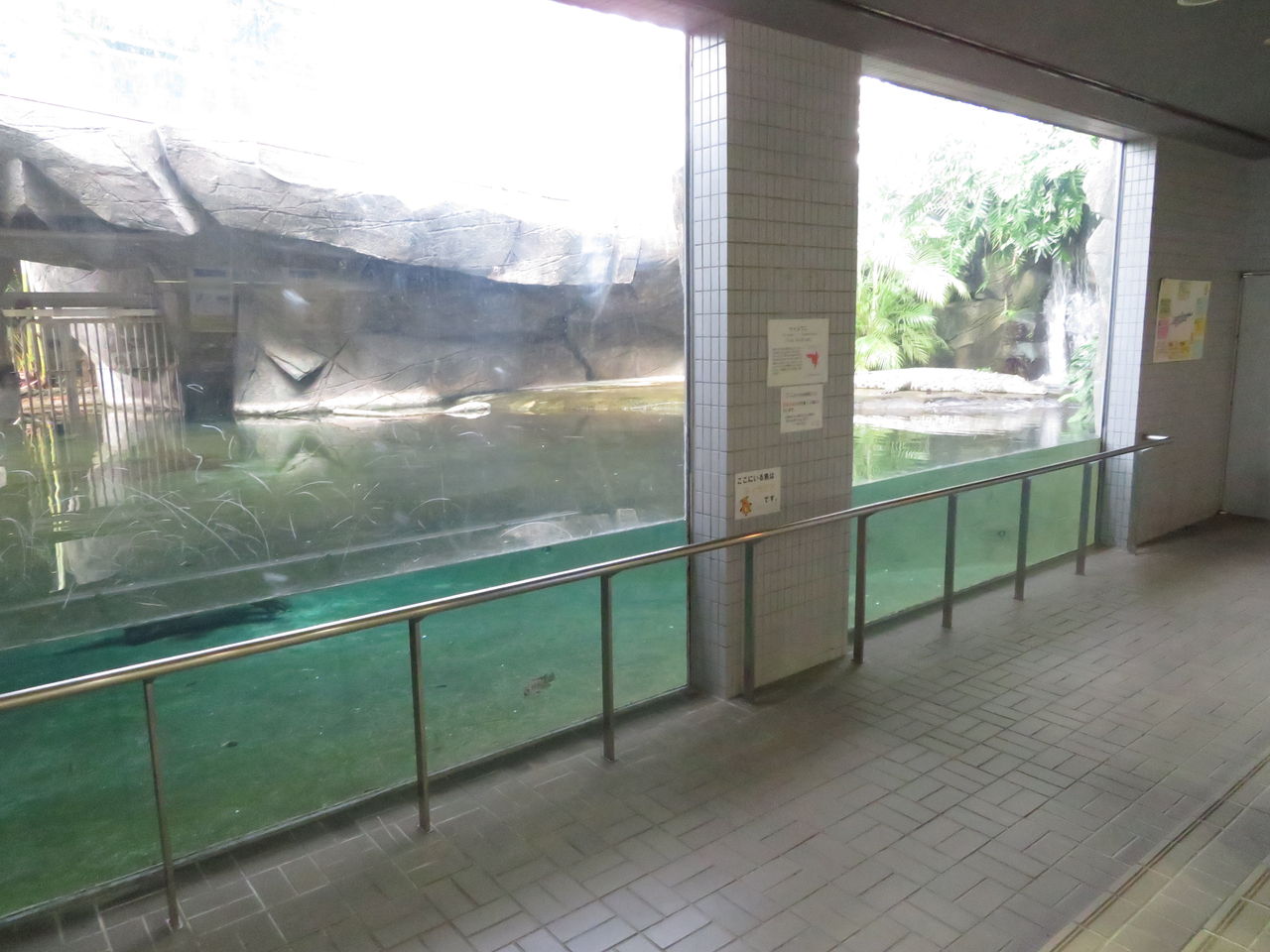 愛知県 東山動物園 自然動物館 主食は水族館です