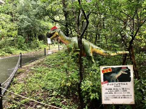 大高緑地 ディノアドベンチャー名古屋-5