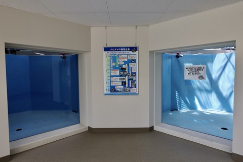 富山県栽培漁業センター-19