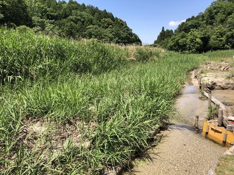 自然児童遊園 ねむの森-8