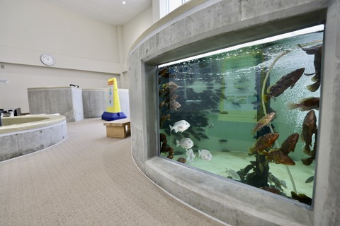 富山県栽培漁業センター-23