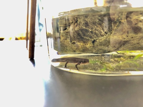 きんたい廃校博物館-44