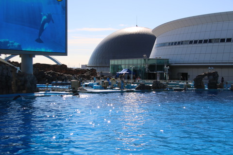 名古屋港シャチ-7