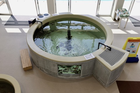 富山県栽培漁業センター-16b