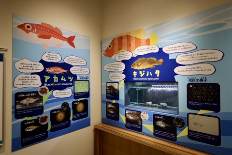 富山県栽培漁業センター-4